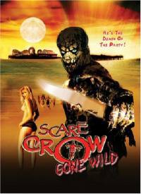 locandina del film IL RITORNO DI SCARECROW