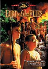 locandina del film IL SIGNORE DELLE MOSCHE (1989)