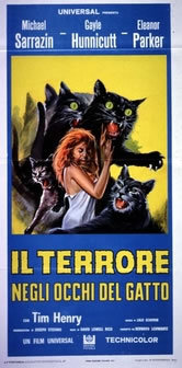 locandina del film IL TERRORE NEGLI OCCHI DEL GATTO