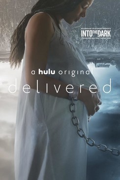 locandina del film INTO THE DARK - DELIVERED