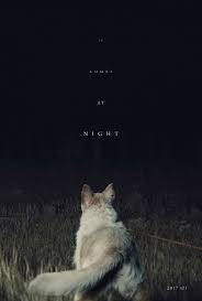 locandina del film IT COMES AT NIGHT