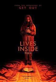 locandina del film IT LIVES INSIDE (2023)
