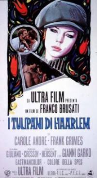 locandina del film I TULIPANI DI HAARLEM