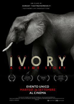 locandina del film IVORY. A CRIME STORY