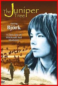 locandina del film JUNIPER TREE