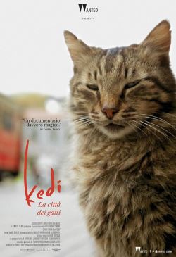 locandina del film KEDI. LA CITTA' DEI GATTI