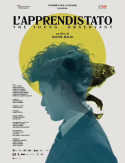 locandina del film L'APPRENDISTATO