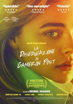 locandina del film LA DISEDUCAZIONE DI CAMERON POST