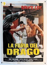 locandina del film LA FURIA DEL DRAGO