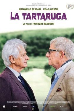 locandina del film LA TARTARUGA