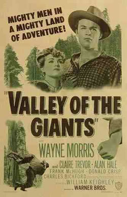 locandina del film LA VALLE DEI GIGANTI