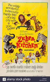 locandina del film LA ZEBRA IN CUCINA