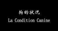 locandina del film LA CONDITION CANINE