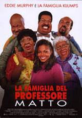 locandina del film LA FAMIGLIA DEL PROFESSORE MATTO