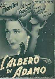 locandina del film L'ALBERO DI ADAMO