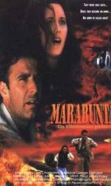 locandina del film LA LEGIONE DELLE FORMICHE ASSASSINE