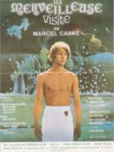 locandina del film LA MERAVIGLIOSA VISITA