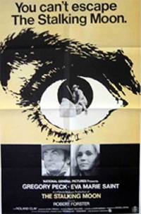locandina del film LA NOTTE DELL'AGGUATO