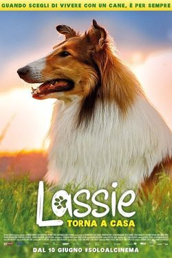 locandina del film LASSIE TORNA A CASA