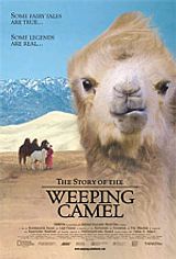 locandina del film LA STORIA DEL CAMMELLO CHE PIANGE