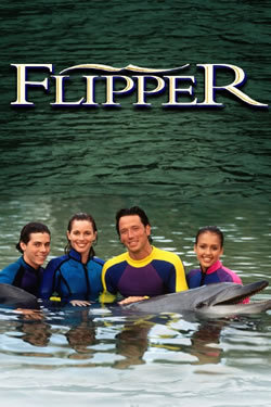 locandina del film LE NUOVE AVVENTURE DI FLIPPER - STAGIONE 1