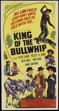 locandina del film LE PISTOLE DI ZORRO