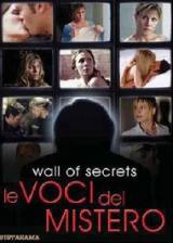 locandina del film LE VOCI DEL MISTERO