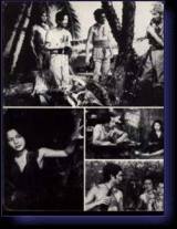 locandina del film L'ISOLA DELLA DONNA CONTESA