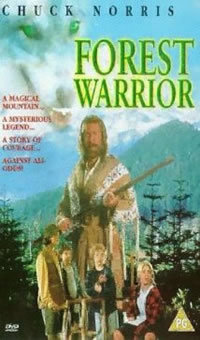 locandina del film L'ULTIMO GUERRIERO (1996)