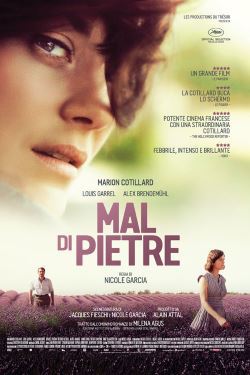 locandina del film MAL DI PIETRE