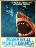 locandina del film MARE BLU, MORTE BIANCA