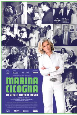 locandina del film MARINA CICOGNA - LA VITA E TUTTO IL RESTO