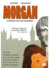 locandina del film MORGAN MATTO DA LEGARE