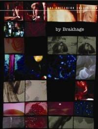 locandina del film MOTHLIGHT