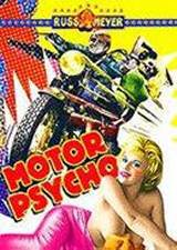 locandina del film MOTORPSYCHO!