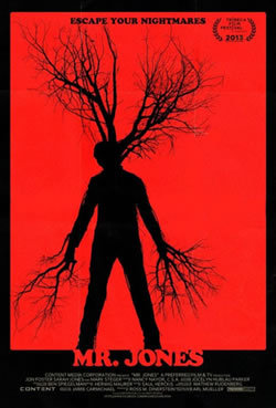 locandina del film MR. JONES (2013)