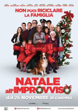 locandina del film NATALE ALL'IMPROVVISO