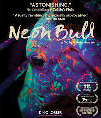 locandina del film NEON BULL