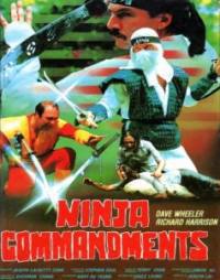 locandina del film NINJA COMMANDMENTS