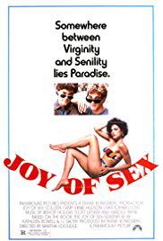 locandina del film NON TOCCATE LE RAGAZZE