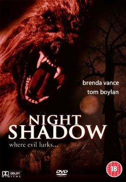 locandina del film NOTTE DI TERRORE
