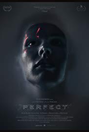 locandina del film PERFECT (2018)