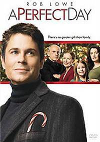 locandina del film PERFECT DAY