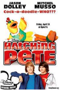 locandina del film PETE IL GALLETTO