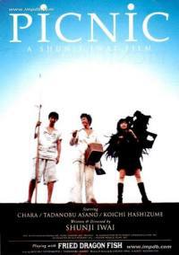 locandina del film PICNIC (1996)