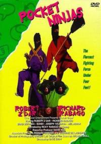 locandina del film POCKET NINJAS
