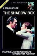 locandina del film PRIMA DELL'OMBRA