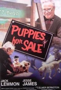 locandina del film PUPPIES FOR SALE