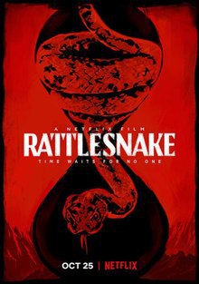 locandina del film SERPENTE A SONAGLI