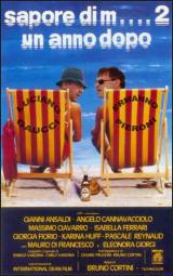locandina del film SAPORE DI MARE 2 - UN ANNO DOPO